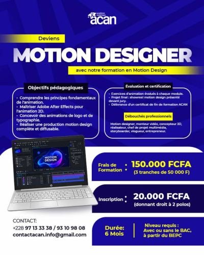 Motion Designer